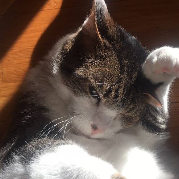 Meet your Posher, LadyD - Picture 2 of 2